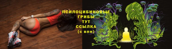 бутират Богородицк