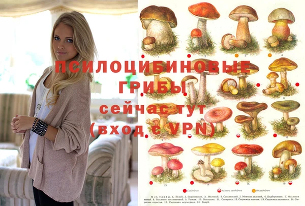 альфа пвп Богородск